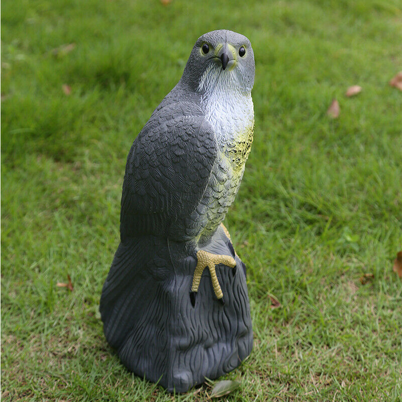 Realistic Eagle Hawk Hunting Decoyl Bird Falcon Pigeon Scarer Outdoor Garden