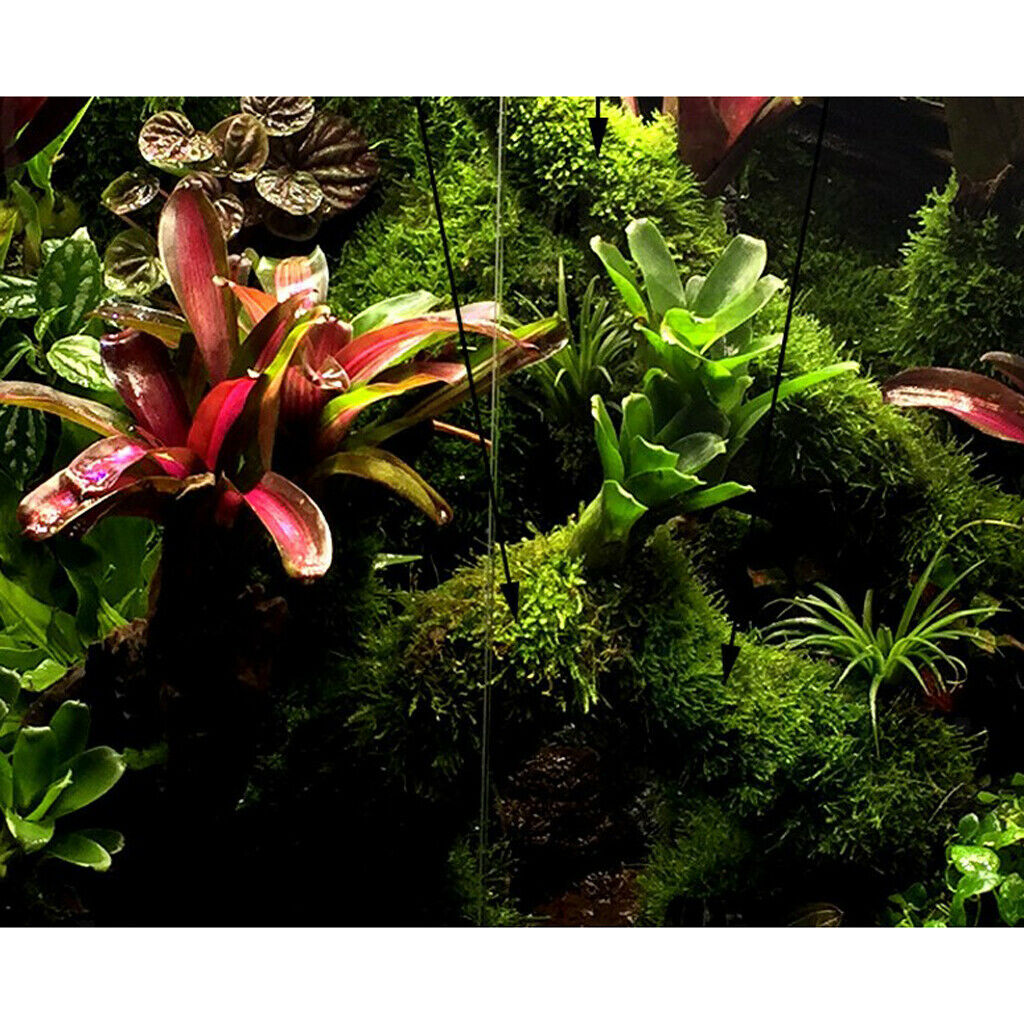 Terrarium Fish Tank Aquarium Aquatic Moss Fiber Plant Pad Easy Grow 50x50cm