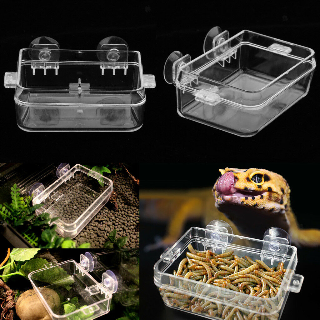 2 Pcs Lizard Reptile Terrarium Water Food Bowl Anti-escape Worm Container