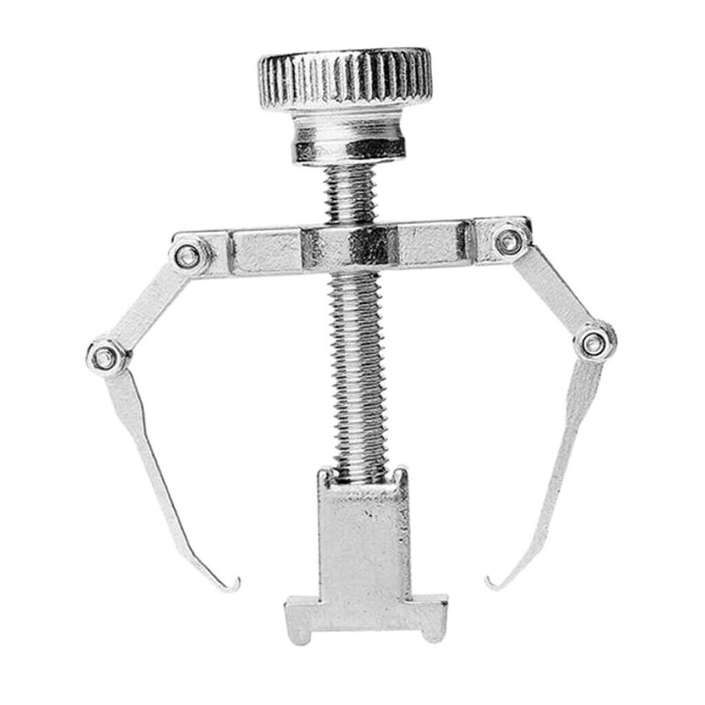 Pro Ingrown Toenail Lifter Toenail Treatment Tool for Men Women Golden