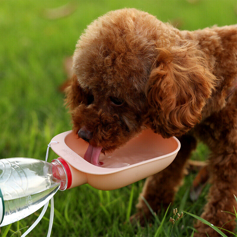Dog Water Bottle Pet Outdoor Portable Tool Water Bottle Dog Drinking FountaiBDA