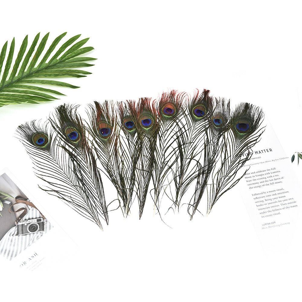 10X/set Real Natural Peacock Tail Eyes Feathers Wedding Festival Party Decor