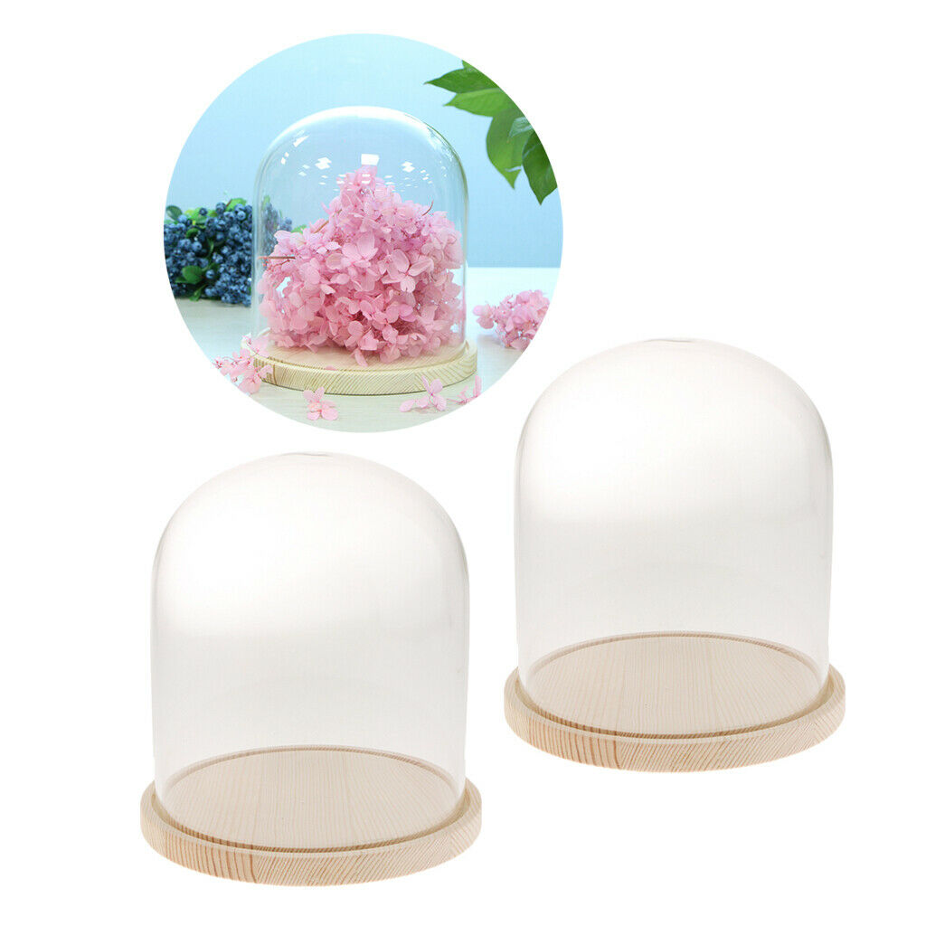 2-pack Clear Festival Glass Dome with Wooden Base Display Bell Jar Case