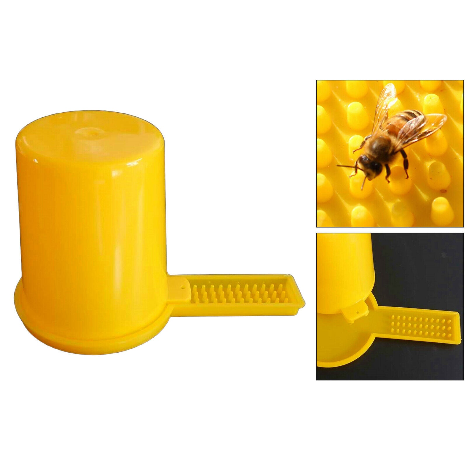 Plastic Bee Water Feeder Beehive Beekeeping Water Dispenser Honey Bee Feeder