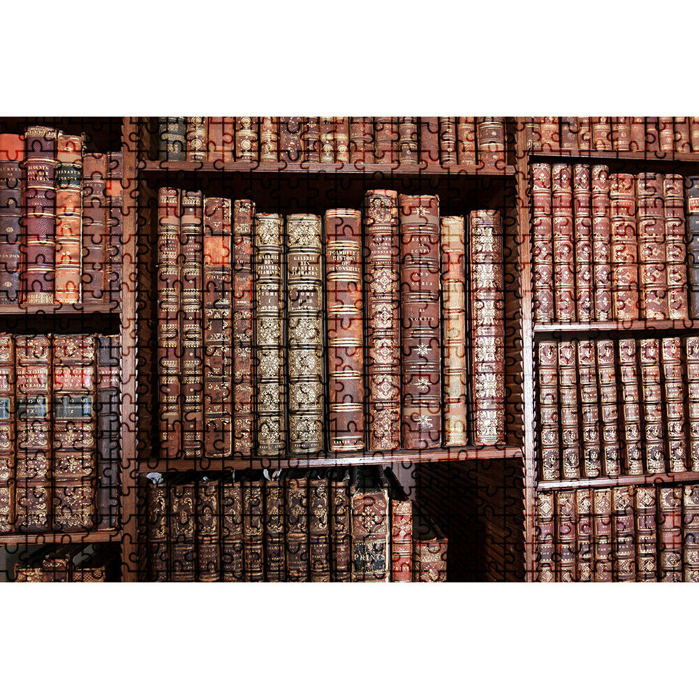 1000pcs DIY Jigsaw Paper Puzzle Study Bookshelf Kids Educational Toys Gift @