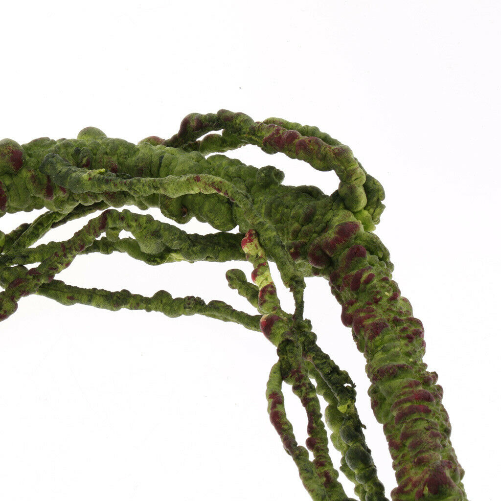 Reptile Flexible Jungle Vines Bendable Lizards Spiders Climber Habitat Vivarium