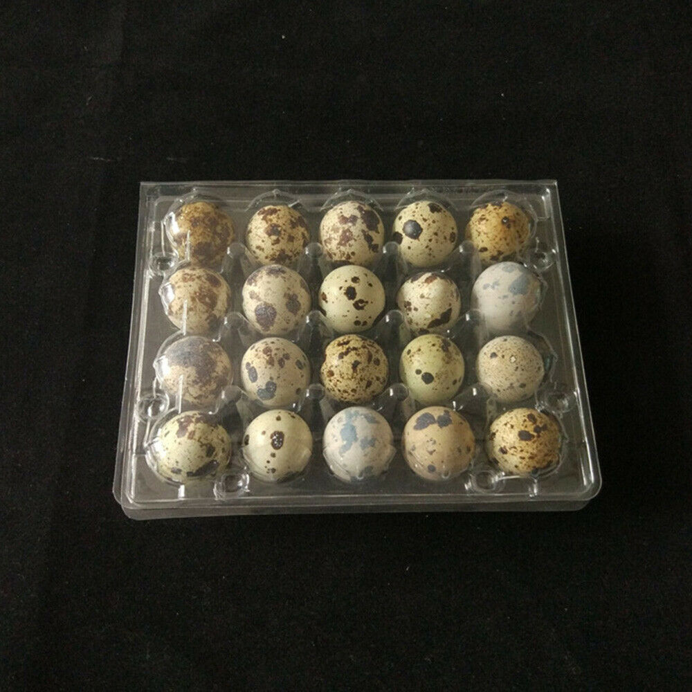 50Pcs Quail Egg Cartons Holds 20 Eggs Snap Close Plastic Box Container Packaging