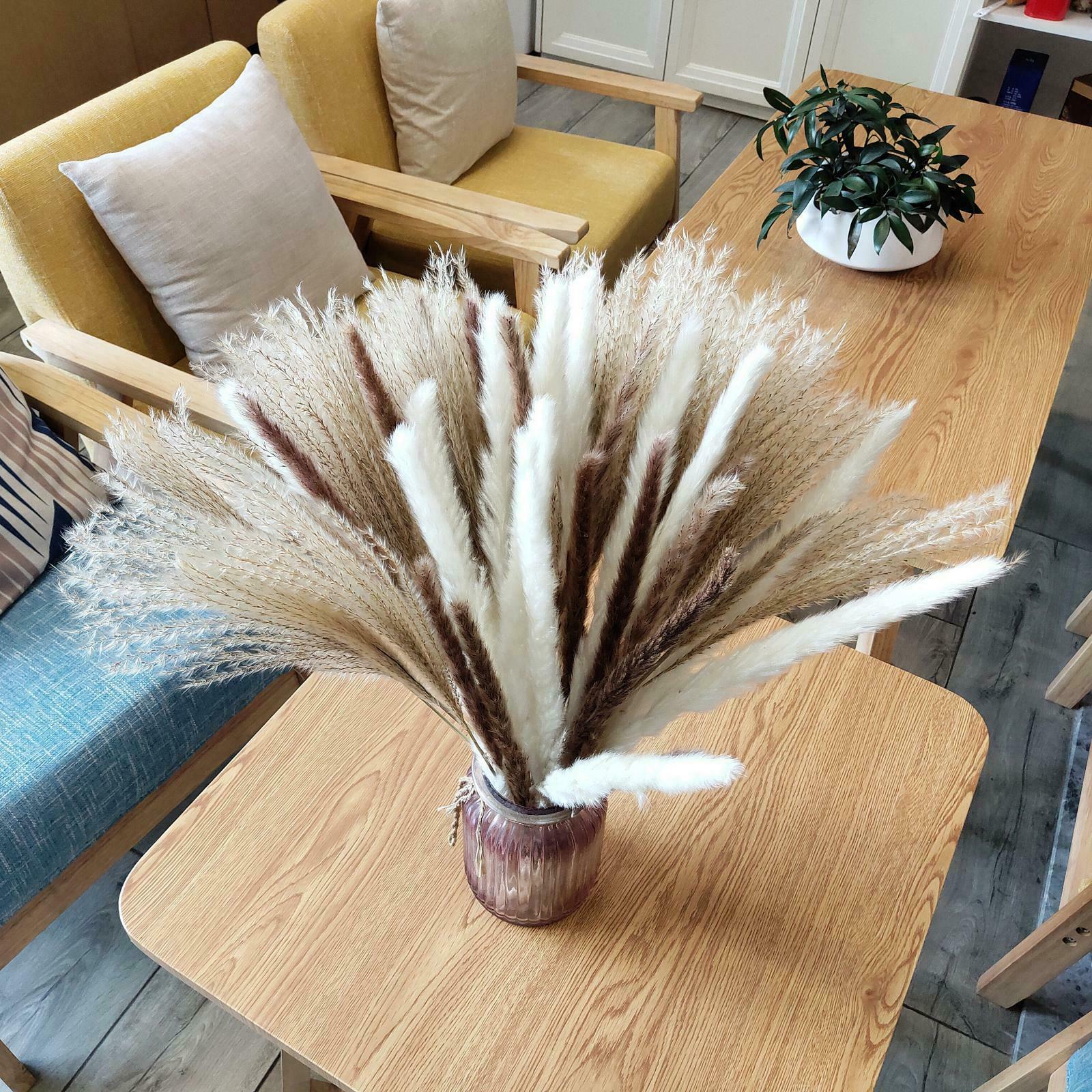 Pampas Grass Natural Dried Pampas Grass Decor for Home Arrangements, Pampas