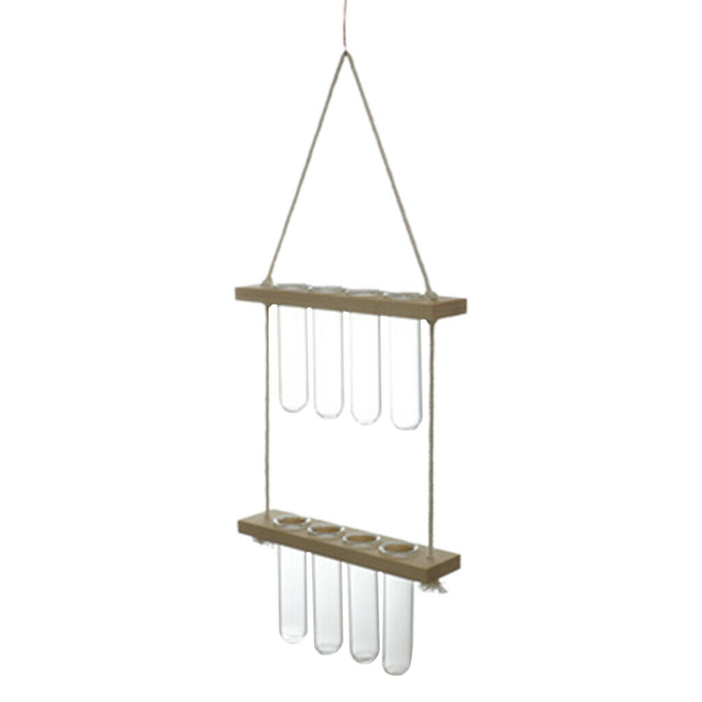 Hanging Hydroponic Terrarium Vase Glass Planter Propagator Office Bar Decor