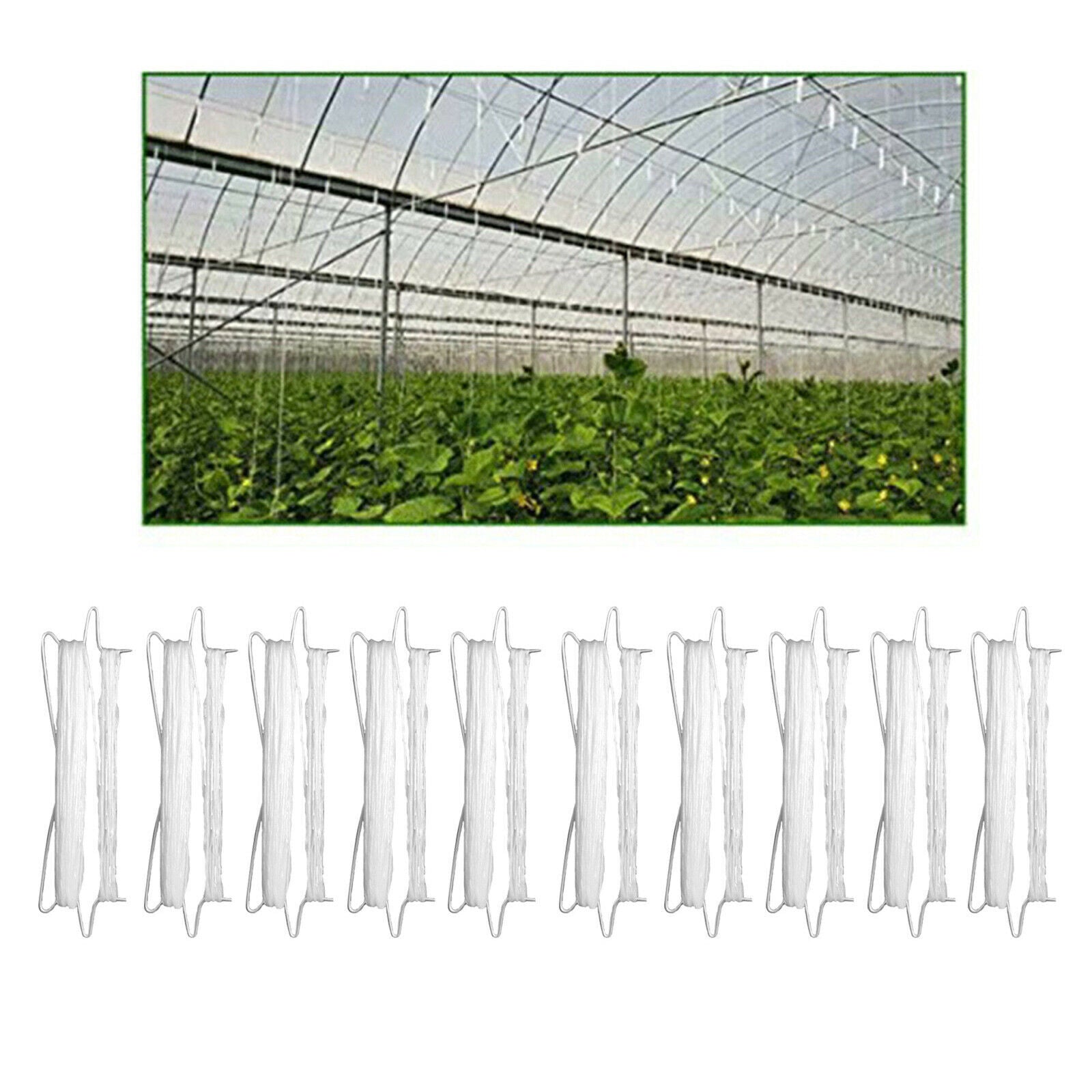 10x Tomato Double Hook Planting Cucumber Fruit Tomato Support Hook