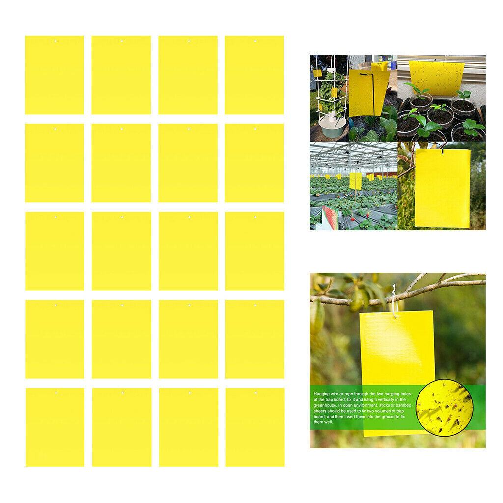 Double-Sided Sticky Traps 6x4 Inch for Indoor Outdoor Aphids 20pcs