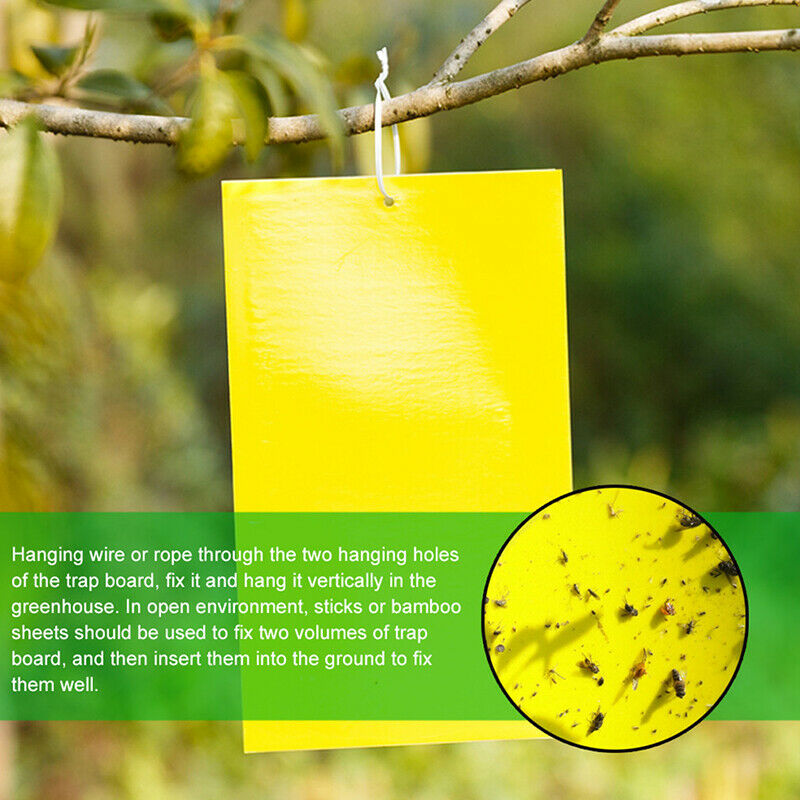 5PCS Fly Trapper Dual-Sided Yellow Sticky Traps Flying Plant Insect stick.l8