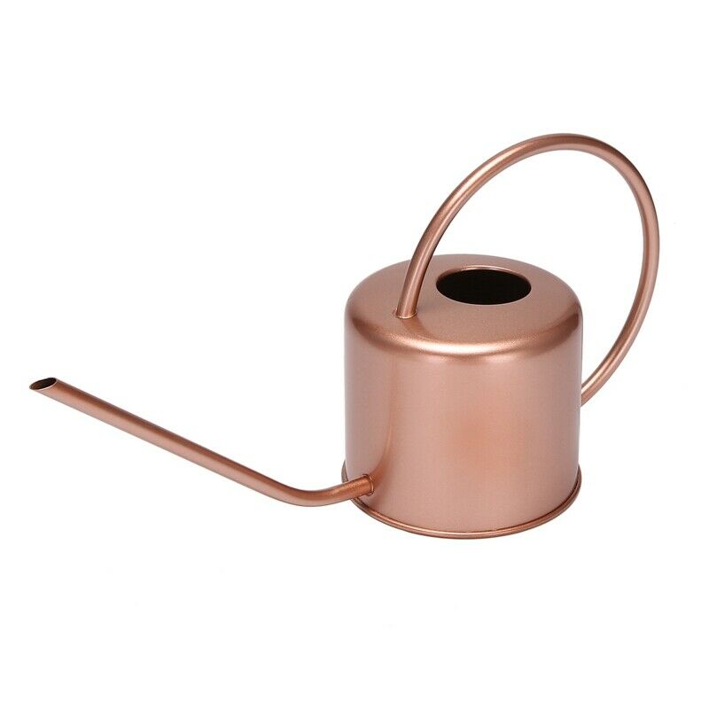 1300Ml Wate Can Metal Garden Stainless Steel for Home Flower Water Bottle EasyO9