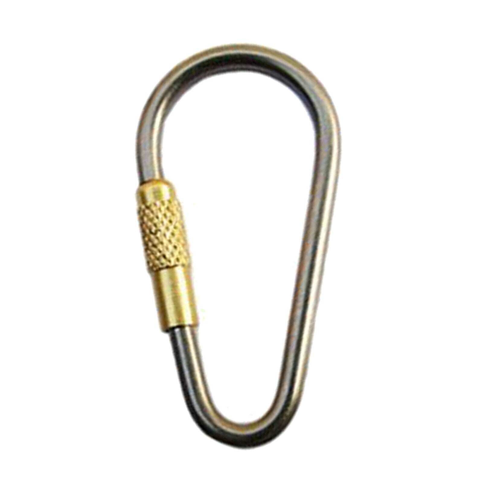 Carabiner Clips Hiking Keychain Screwgate Travel Dog Leash D-Ring Clasp Lock
