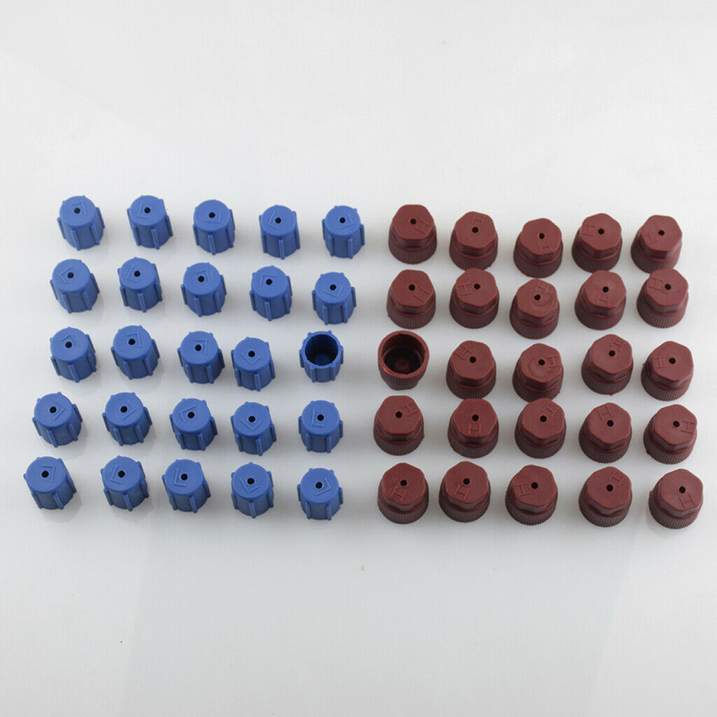50 Pieces AC Charge Port Service Capsule R134a R12 13mm And 16mm Red Blue