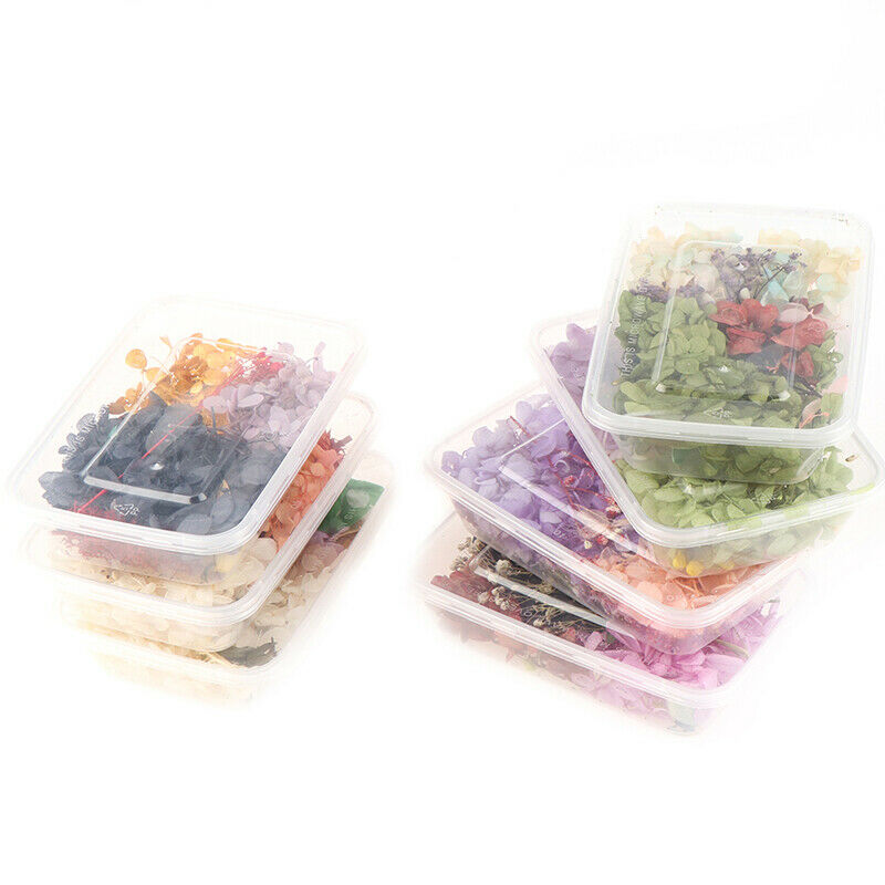Random 1 Box Natural Dried Flower Dry Plants Real Flowers DIY Craft Acces.l8