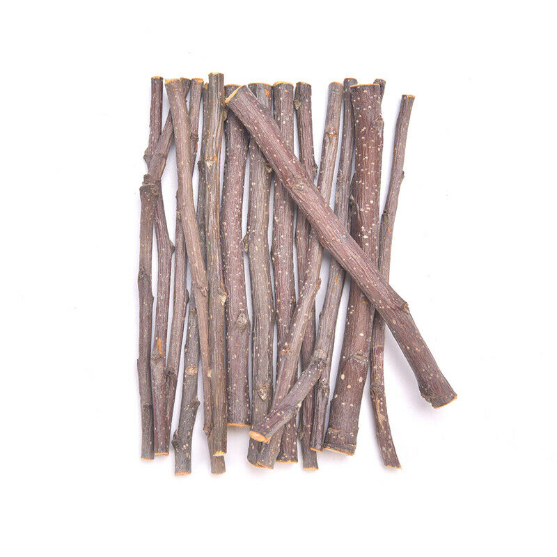 50g Professional Hamster Rabbit Teeth Grinding Tree Stick Molar Chew T Tt