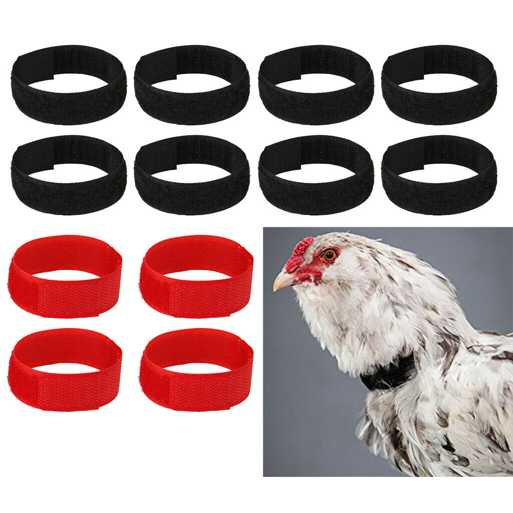 12pcs No Crow Collar for Roosters Chicken No Crowing Belt Neckband Black&Red