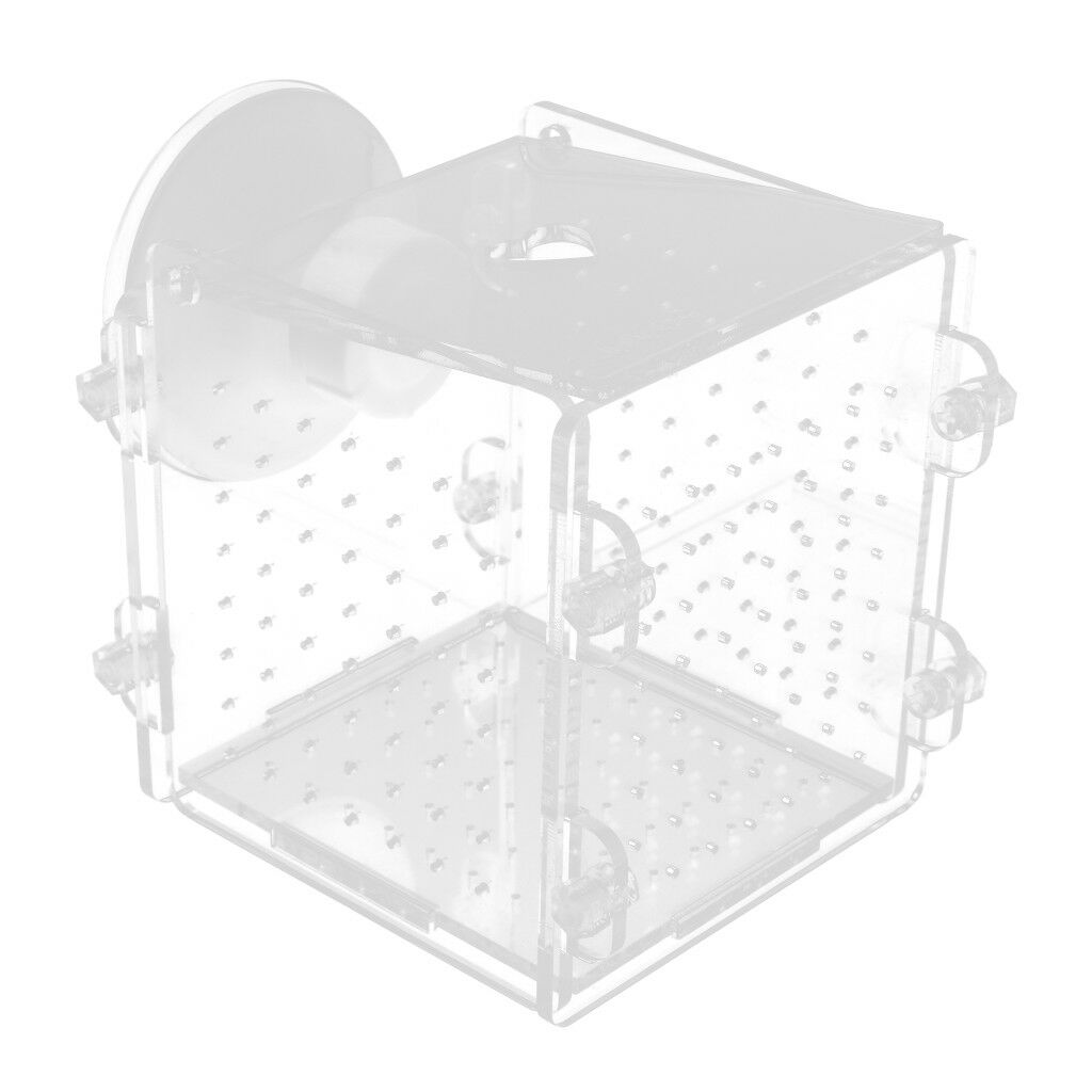 Acrylic Clear Aquarium Guppy Baby Small   Separator Fishes Breeding Box