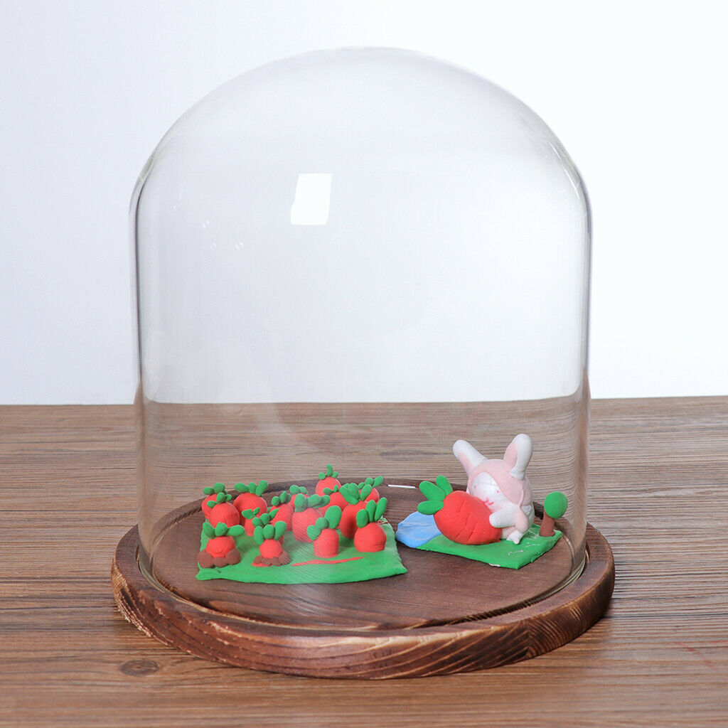 5Pcs 7x12cm Decorative Clear Glass Display Dome Cloche Bell Jar Brown