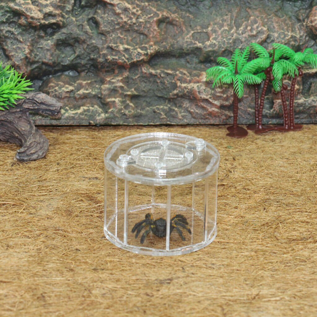 Spider Insect Reptile Tank Vivarium Cage Box Clear Acrylic Terrarium Clear