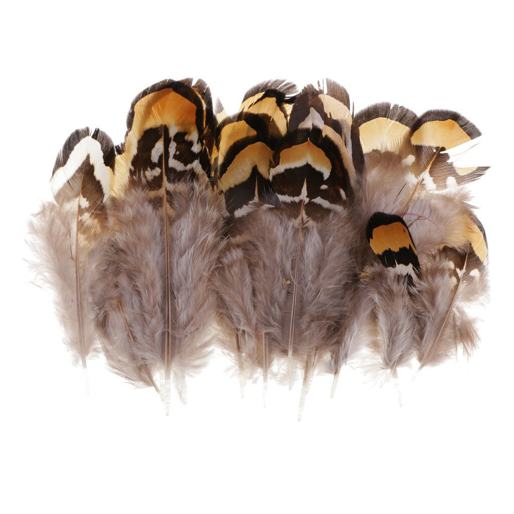 24x Natural Pheasant Feather for Fascinator Millinery Headwear Decor 5-11cm