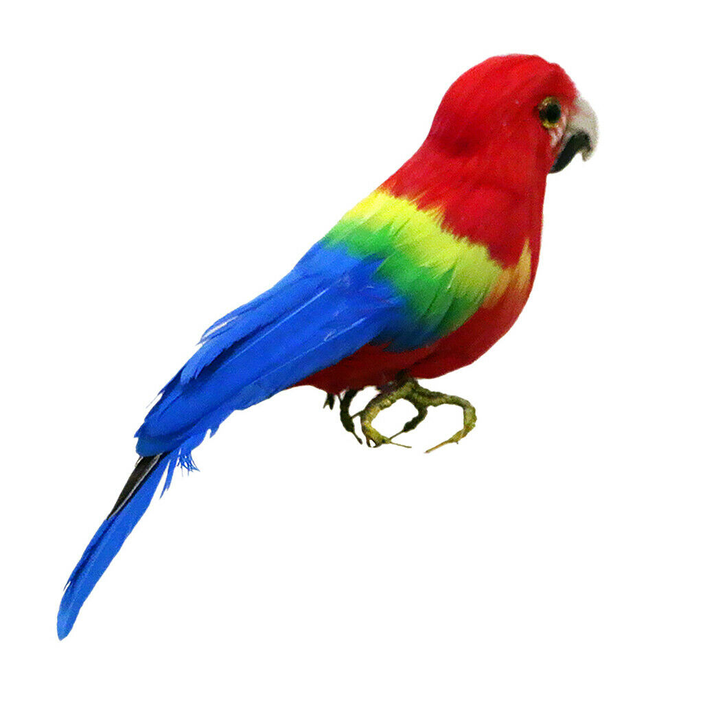 Artificial Bird Feathered Realistic Garden Home Decor Ornament  Parrot #4