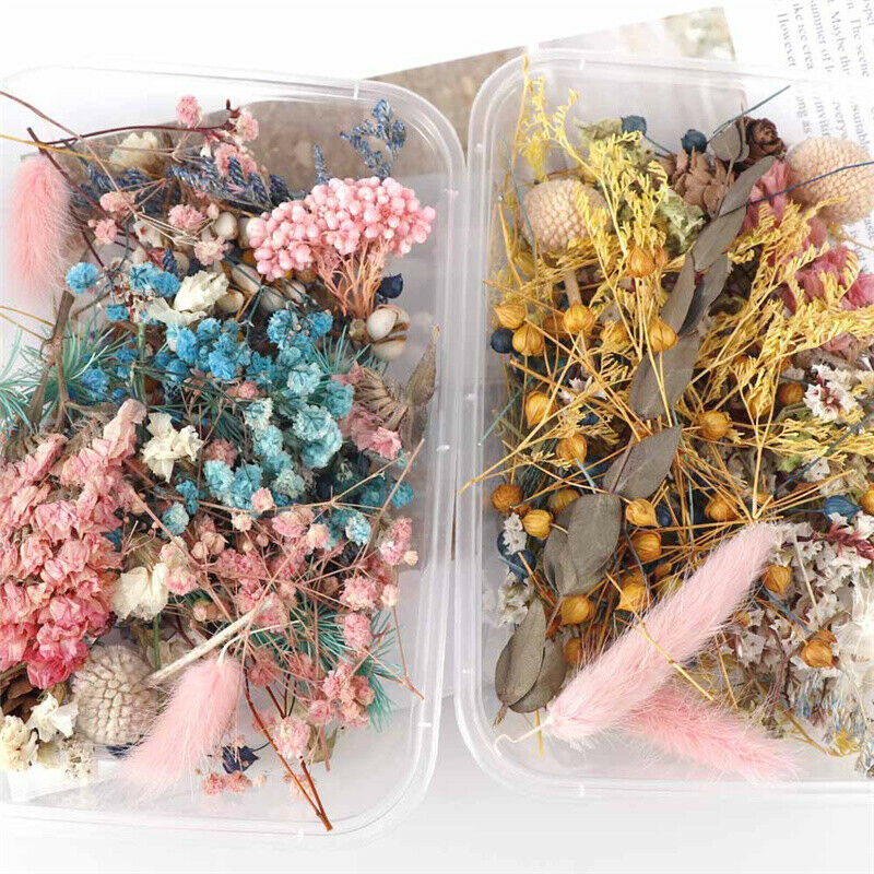 Dried Flower Aromatherapy Candle Making DIY Material For Candle Soap Mak CgR XC