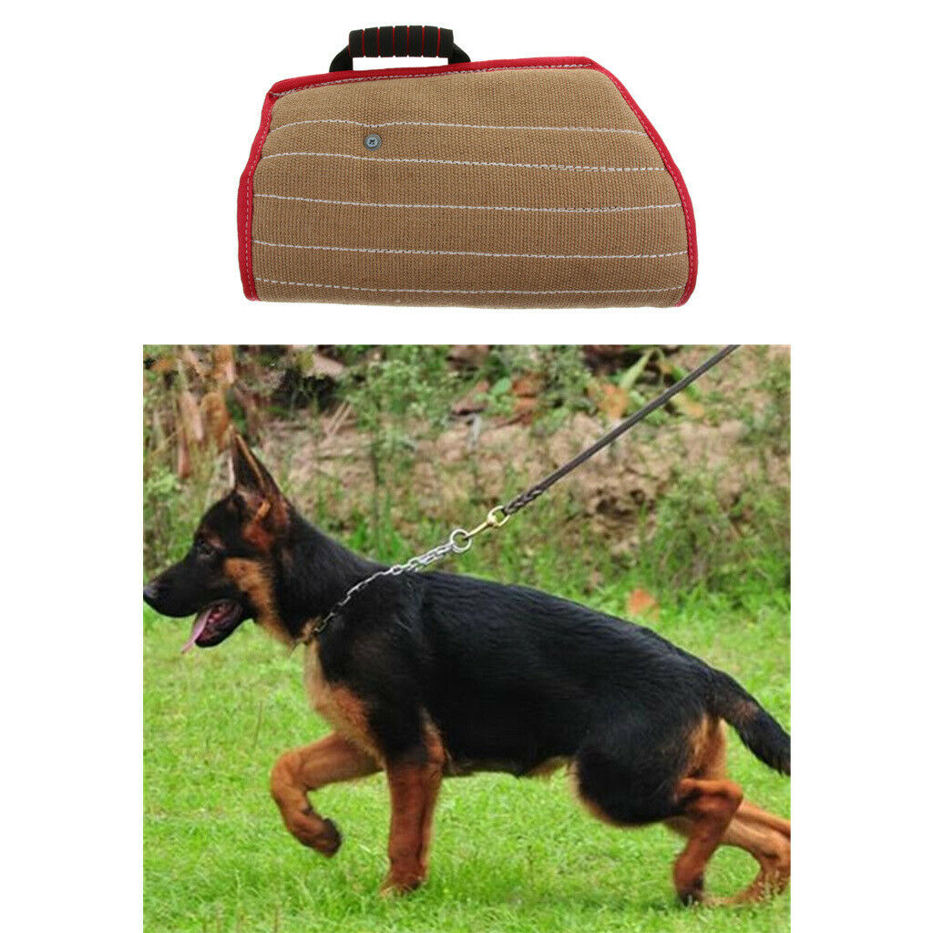Pet Training Bite Chewing Arm Sleeve Protection For Young Malinois Work Dog