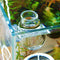Mini Plant Cup Holder for Aquarium Fish Tank Aquatic Planting Accessories Home