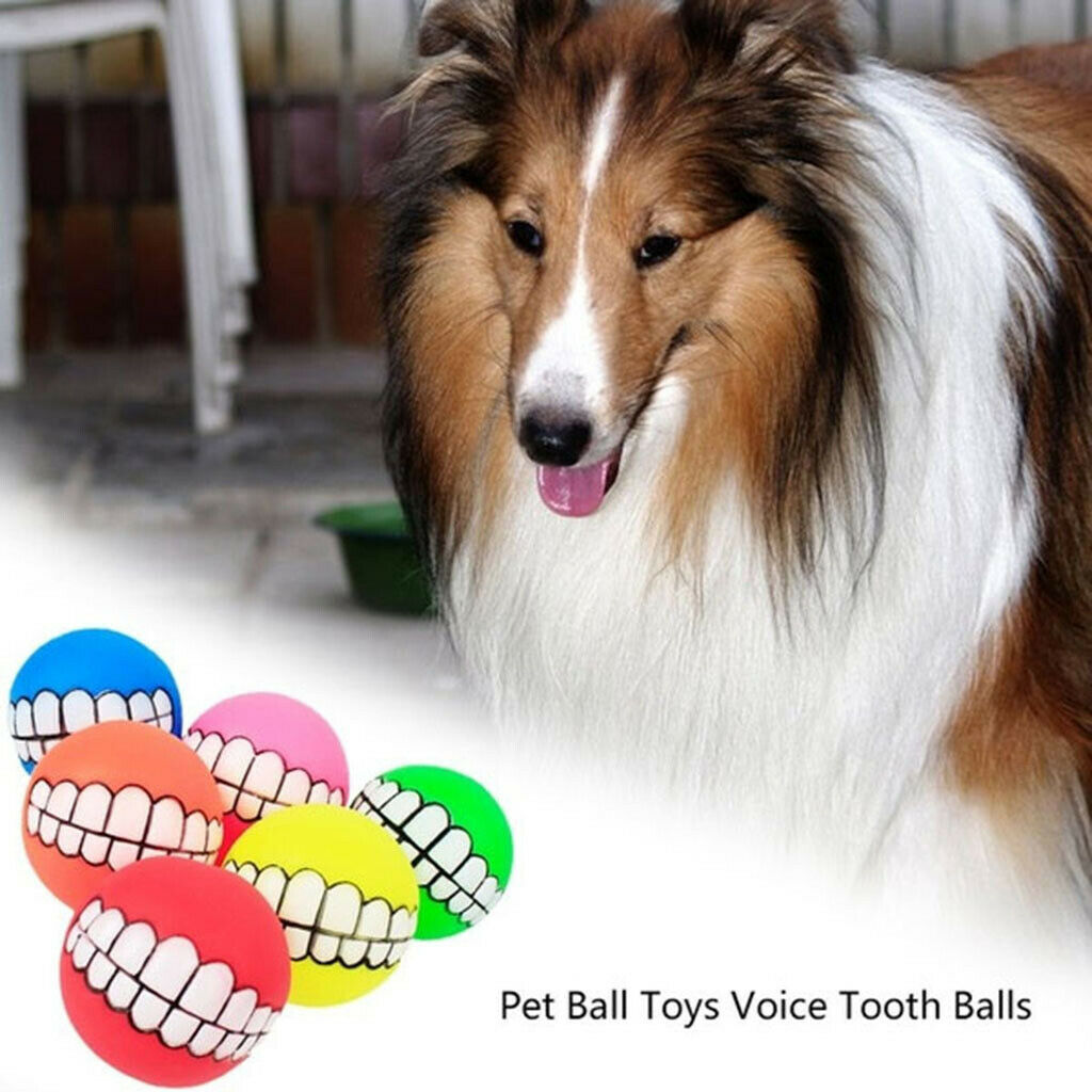 Set of 10 Non-toxic Squeak Puppy Toys, Funny Ball Sets Pet Interactive Play for