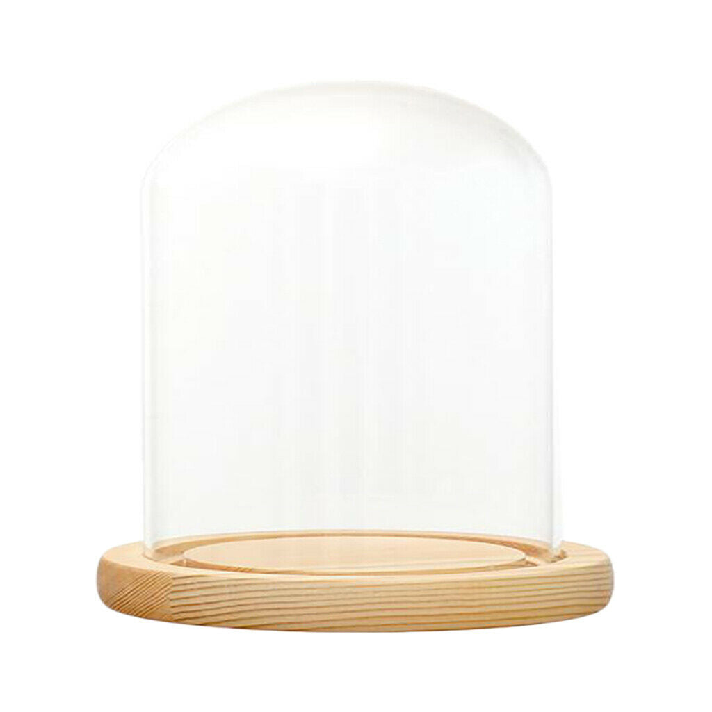 Clear Glass Display Dome with LED Wood Base Microlandscape Holder E 12x12cm