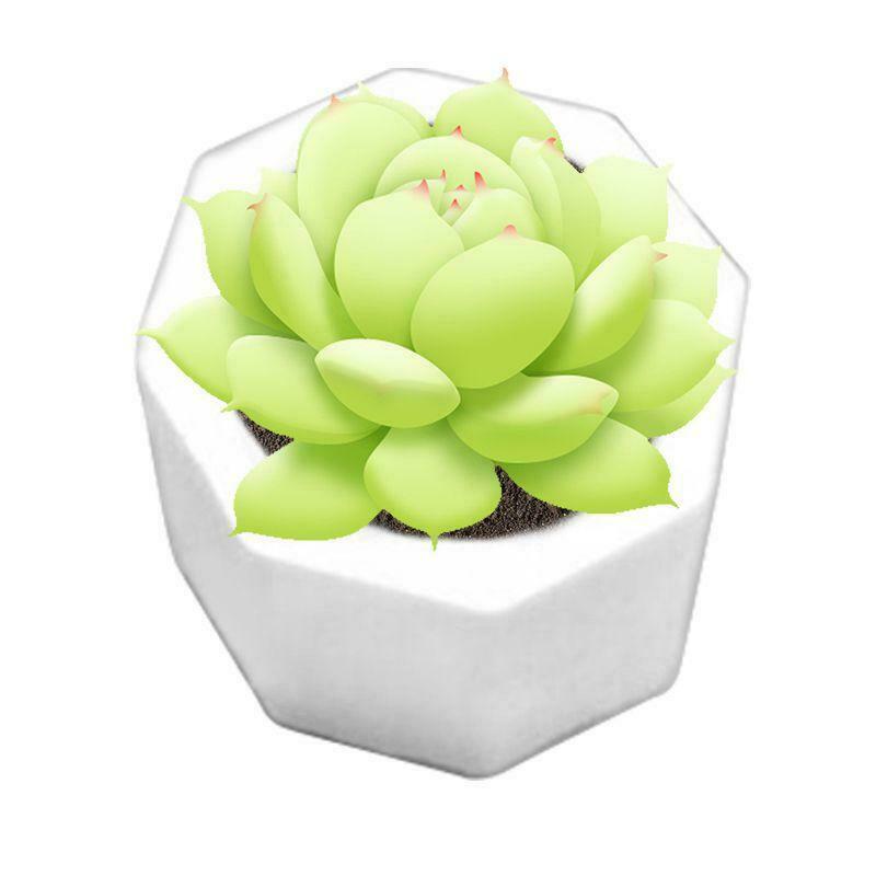 Cement Concrete Succulent Plants Cement Silicone Mold Polygonal Mould Flowerpot