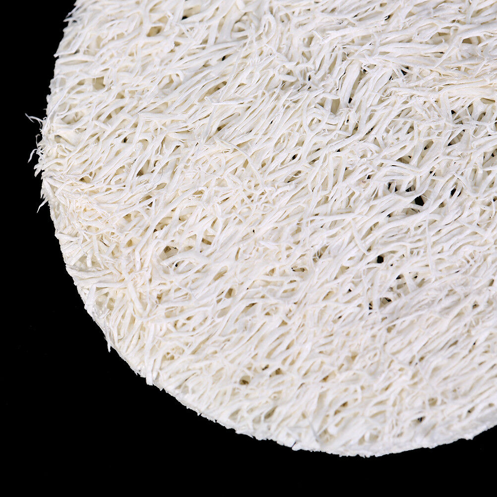 10x Natural Loofah LuffaBDacial Complexion Skin Disc Pad Exfoliator Spong.l8