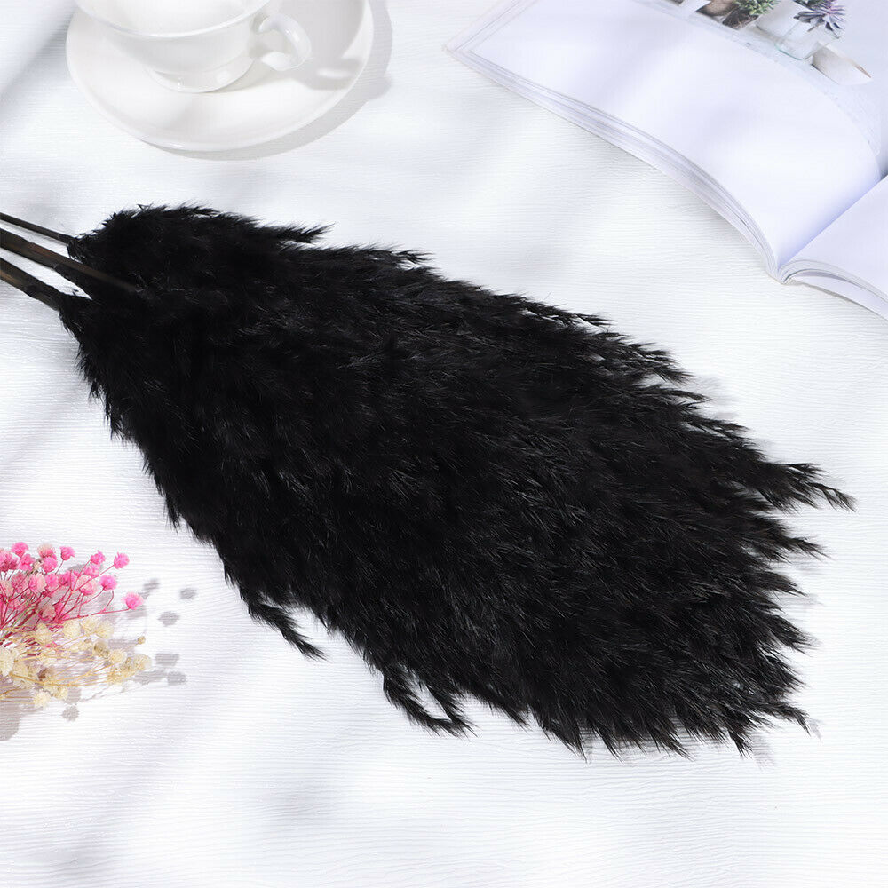 Material Pampas Grass Real Flower Reed Natural Dried Bouquets Plant Stems