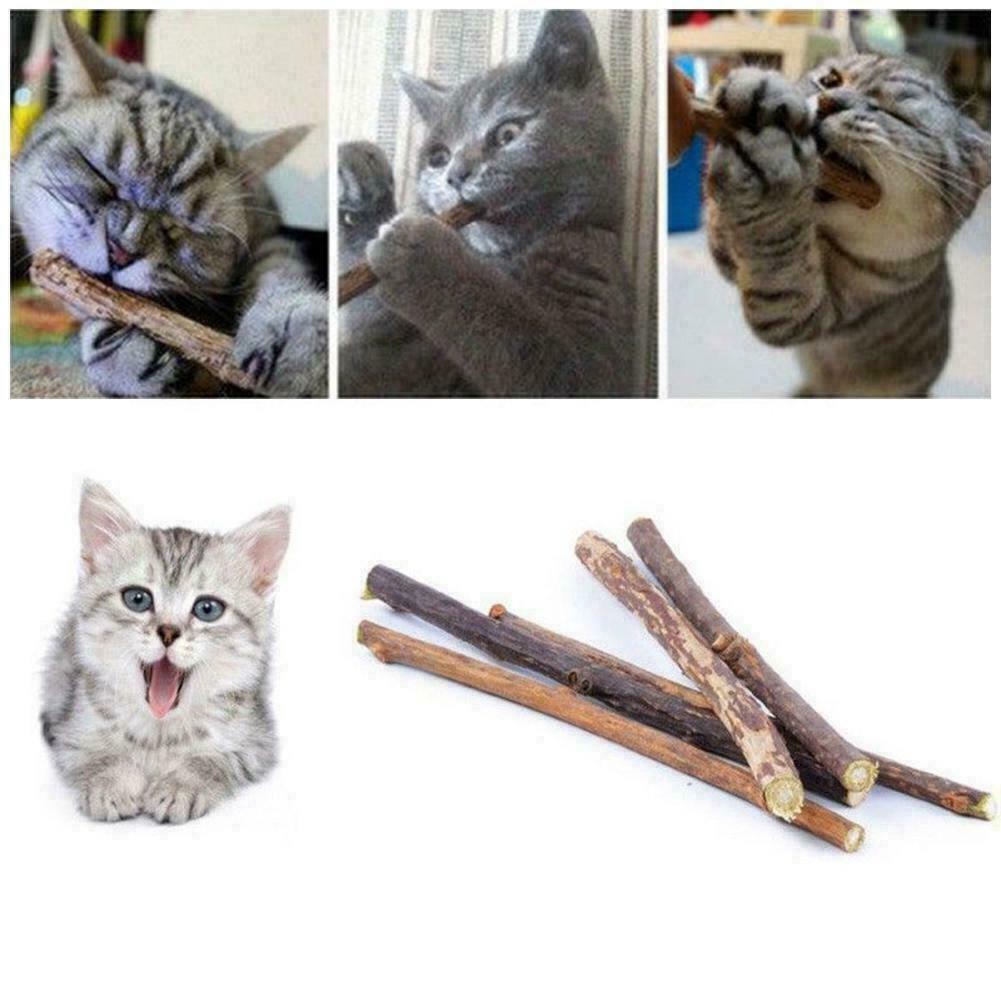 10PCS Cat Snacks Natural Matatabi Chew Catnip Stick Molar Cleaning Brush B3J6