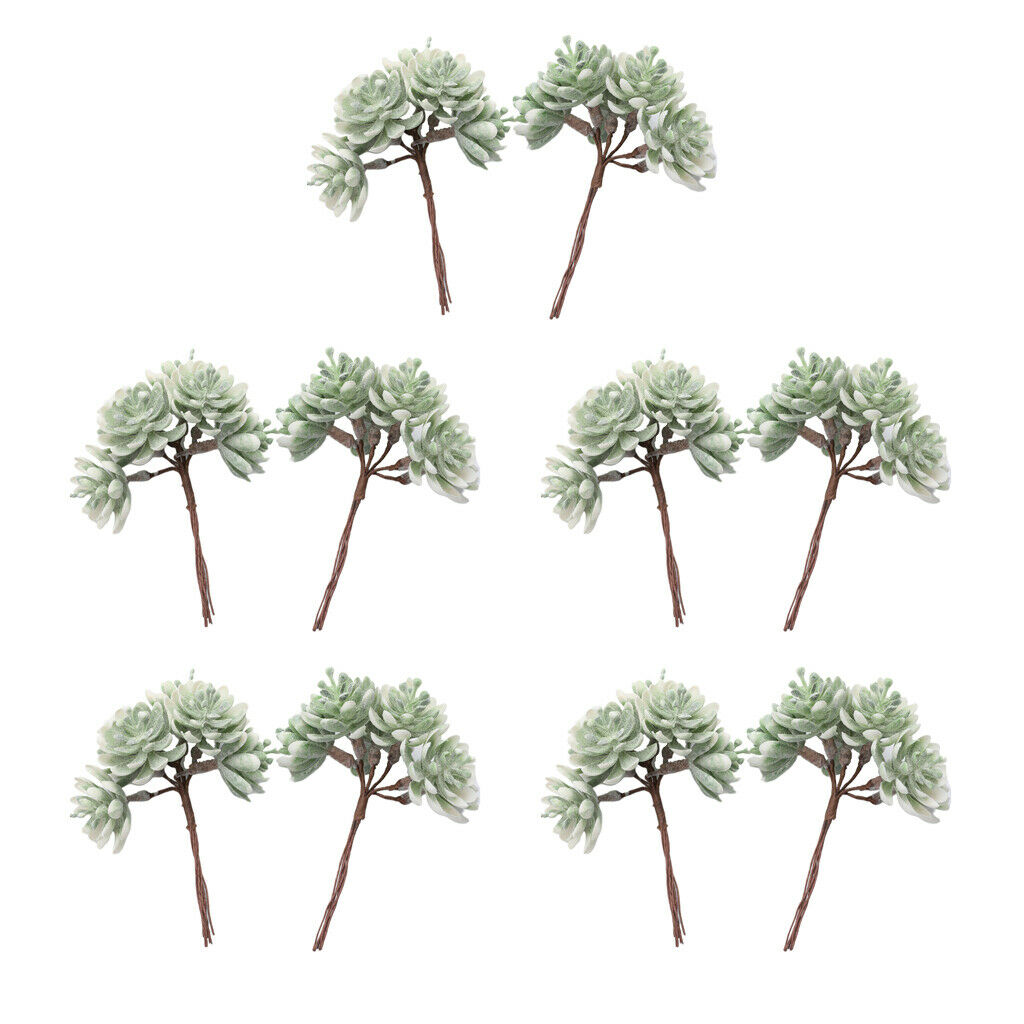 10pcs Pressed Dried Flowers Artificial Succulent Plants Wedding Party Decor