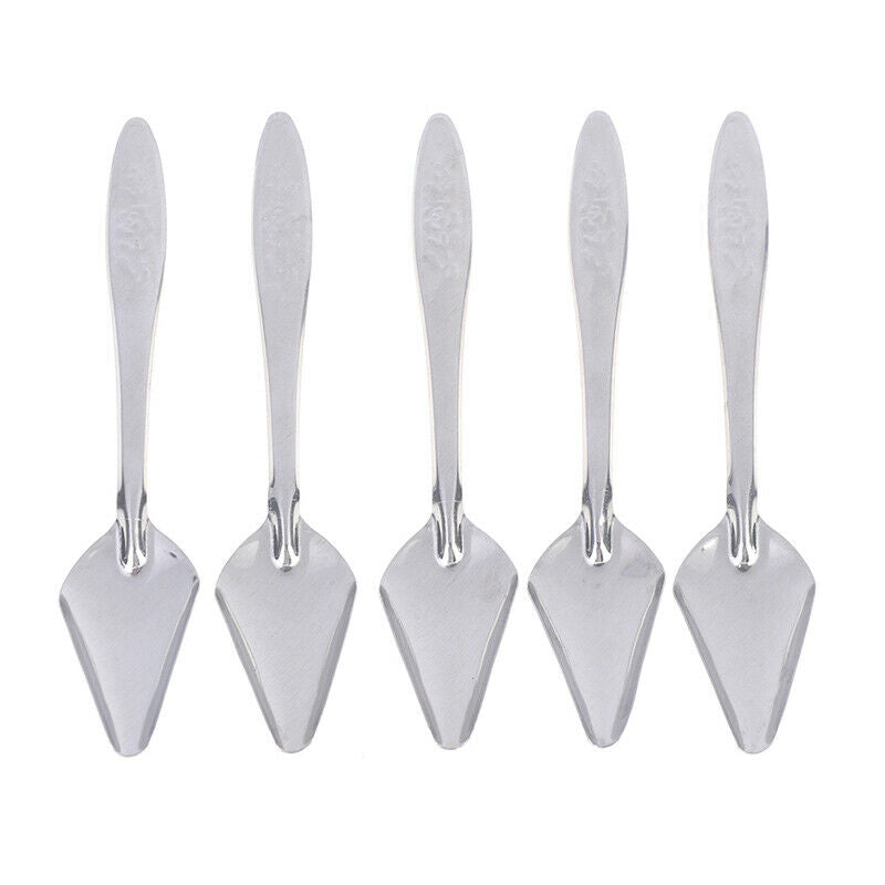 5Pc Baby Bird Pointed Feeding Spoon Stainless Steel Milk Medicine Parrot Fee CH
