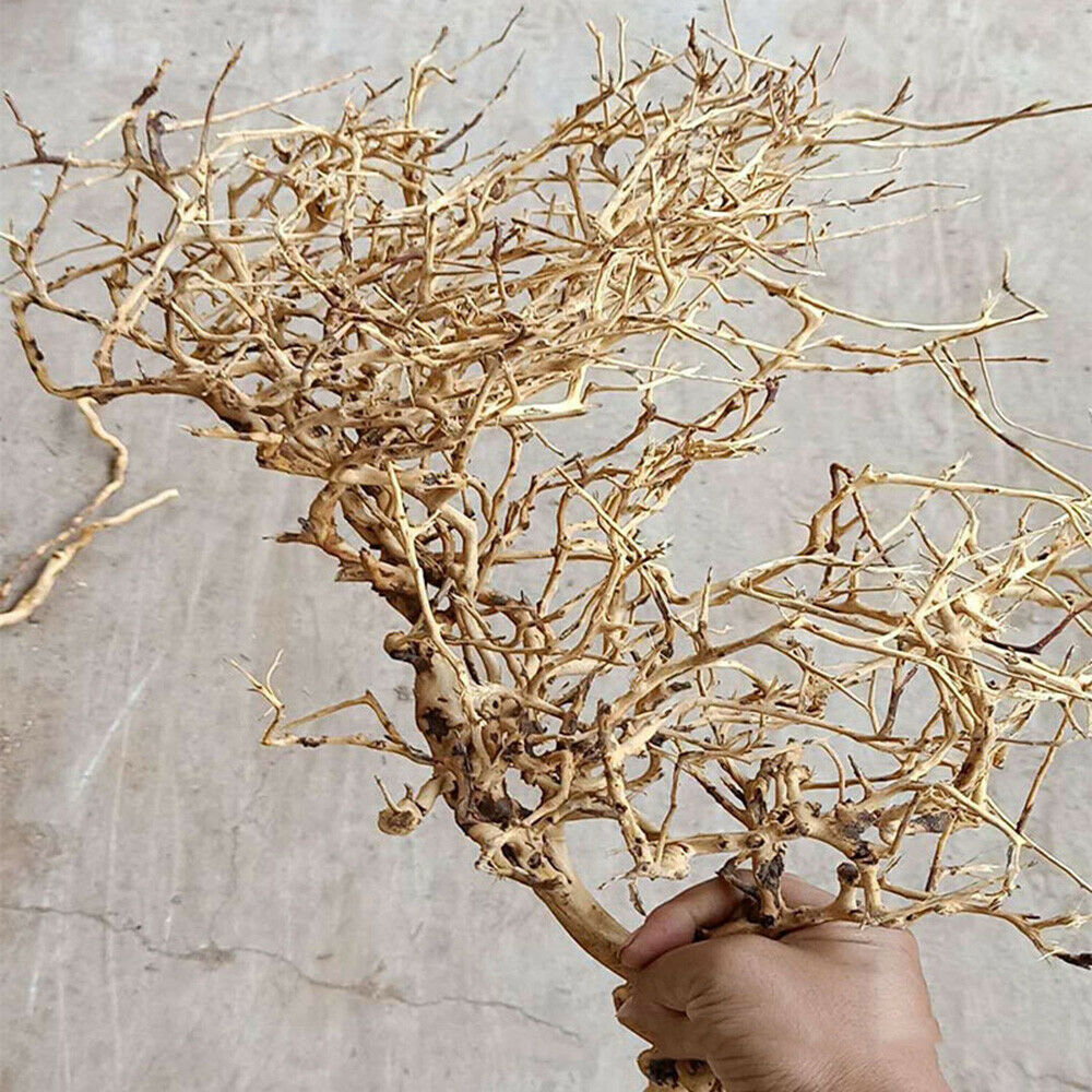 1PC Aquarium Driftwood Thai Branch Tree Plant Ornament Fish Tank Decor 20-50cm