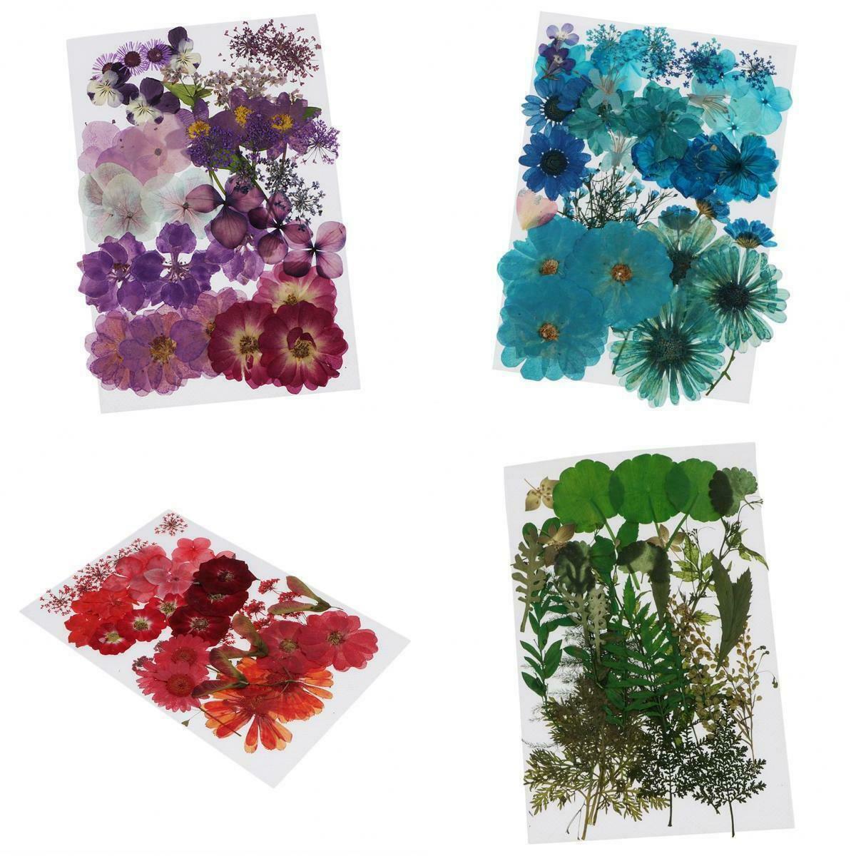 4Bag Lot Natrual Dried Flowers Pressed Leaves Embellishments for Accessories