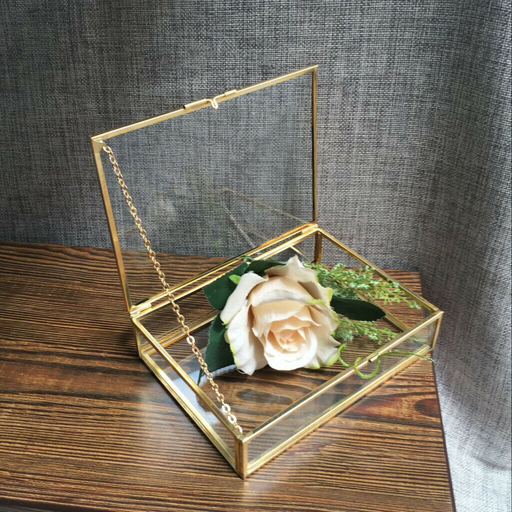 Geometric Terrarium Clear Jewelry Case Succulent Plants Container 10x7x6cm