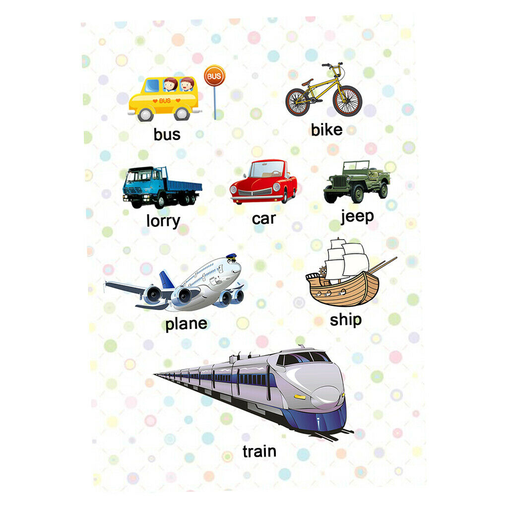 3Pcs Transport Animal &Weather Preschoolers Kids Early Learning Educational