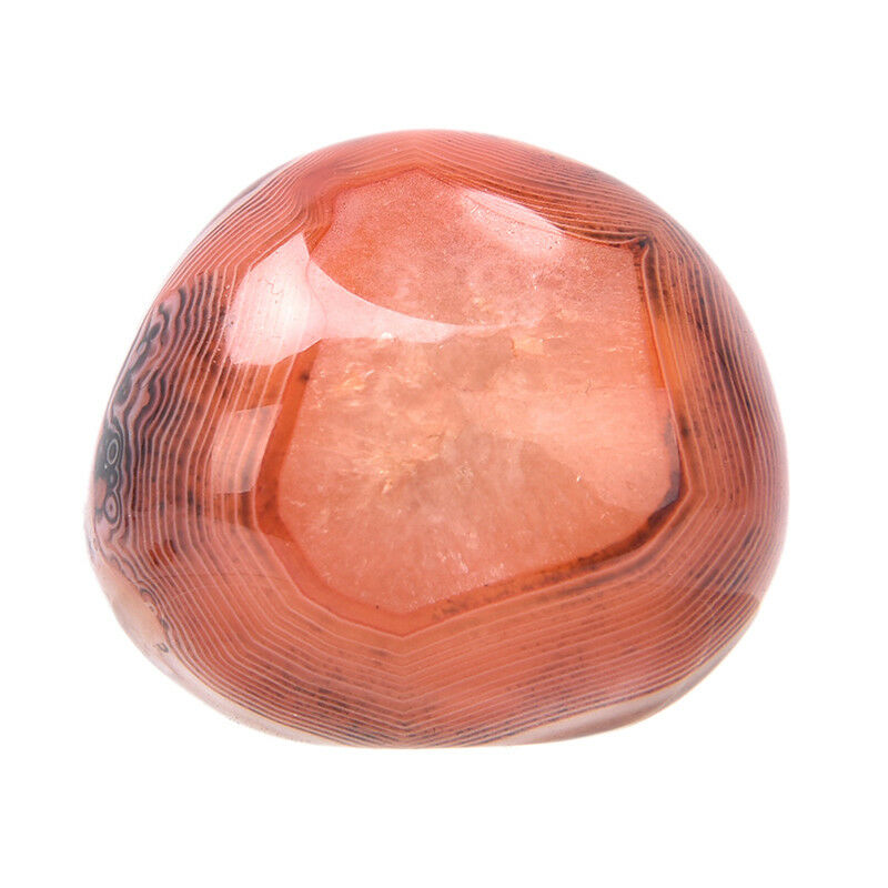 5Pcs Natural Banded Agate Madagascar,Xlarge Tumbled Beautiful Patterns   ZB Tt