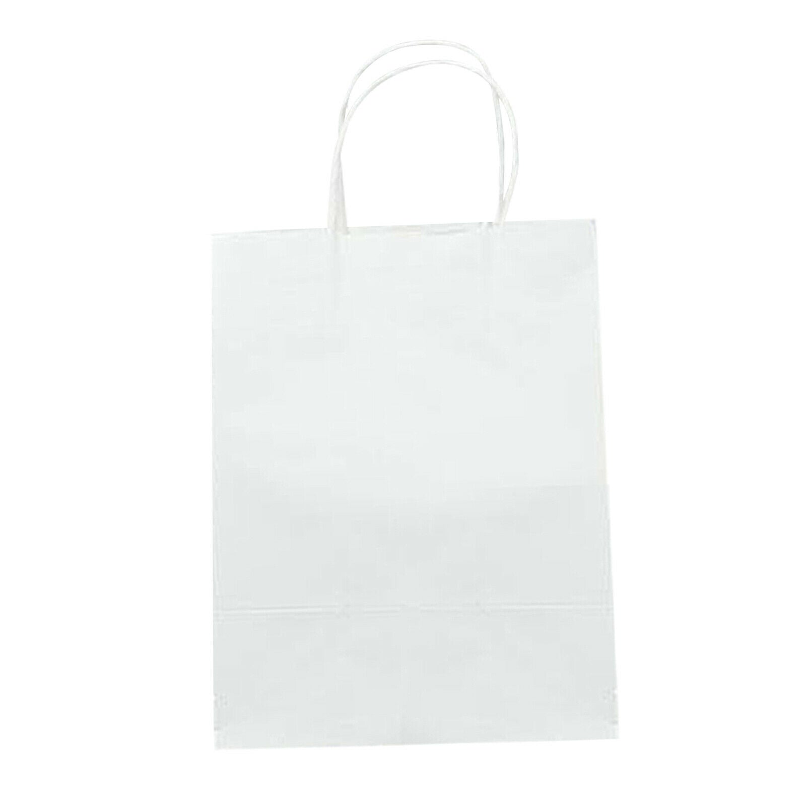 Gift Bag Party Present Goody Favor Bags Business Retail Bags 15x8x21cm
