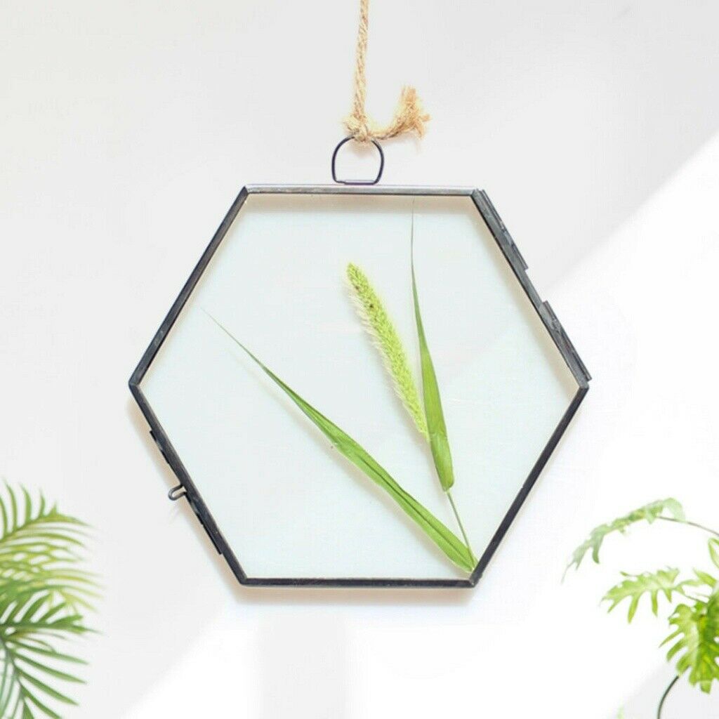 Glass Geometric Photo Picture Frame Hanging Flower Plant Specimen Display Holder
