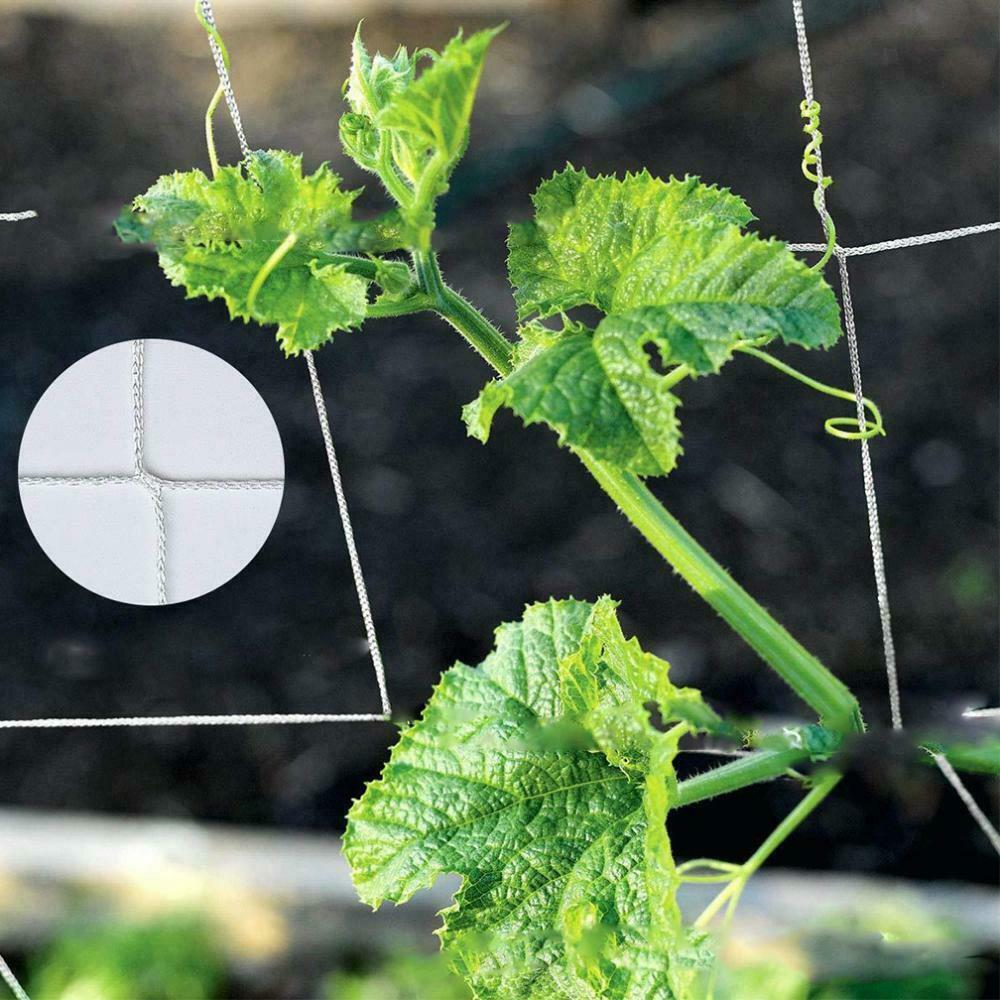 Nylon Garden Trellis Netting for Tomatoes/Beans/Vines Plant 1.35 x 2.7m