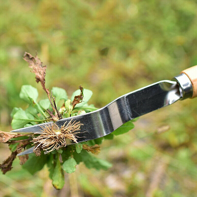 Stainless Steel Garden Weeder Hand Weeding Removal Roots Cutter Puller Tools IE