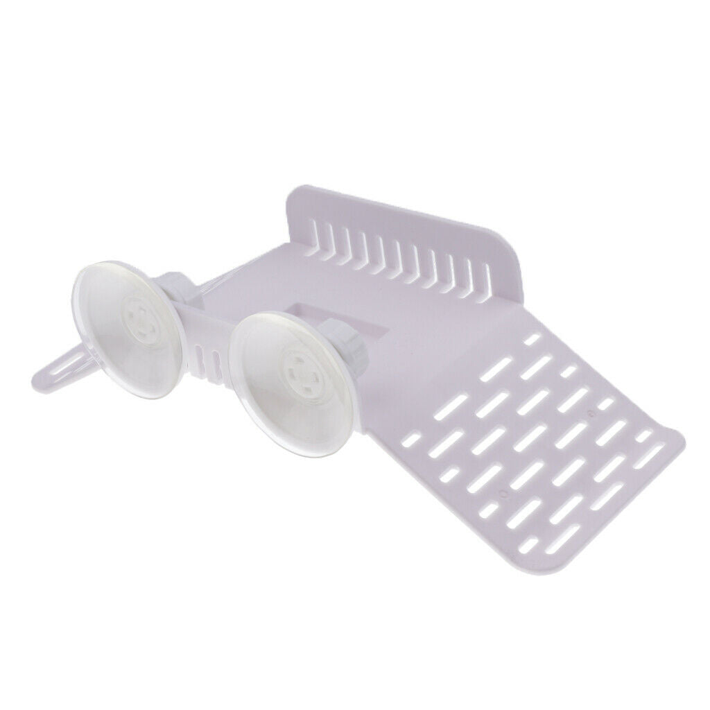 Turtle Pier, Plastic Tortoise Basking Platform for Semi Aquatic Animals - White
