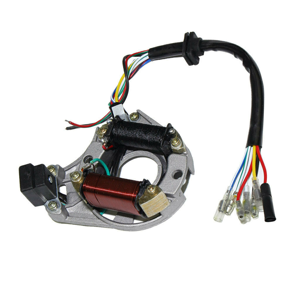 Motorcycle ATV Ignition Stator Coil Magneto 2 Pole for JiaLing JH70
