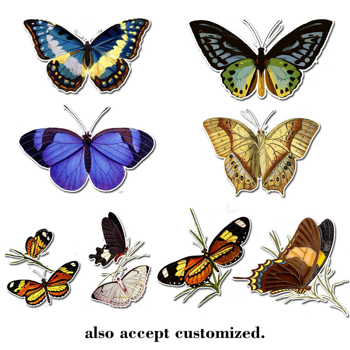 Flying Butterfly Stickers Decals for Water Bottle Cards Laptop Luggage DIY Decor